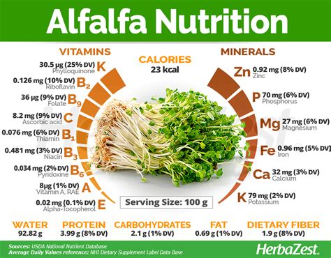 alfalfa sprouts nutrition information